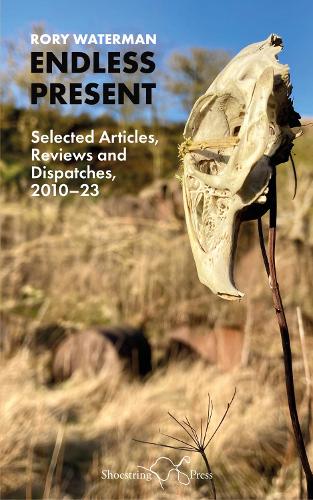 Бумажная книга «Endless Present: Selected Articles, Reviews and Dispatches, 2010–23», автор Рори Уотерман - фото №1
