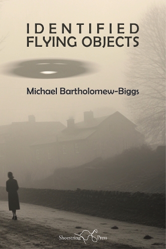 Паперова книга «Identified Flying Objects», автор Майкл Бартоломью-Біггс - фото №1