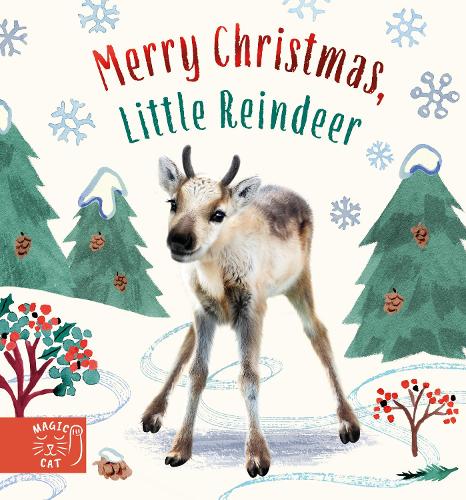 Паперова книга «Merry Christmas, Little Reindeer», автор Аманда Вуд - фото №1