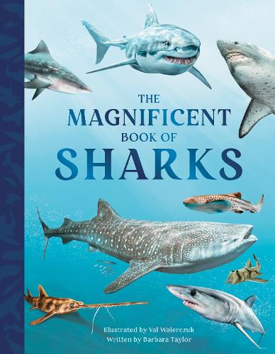 Бумажная книга «The Magnificent Book of Sharks», автор Барбара Тейлор - фото №1