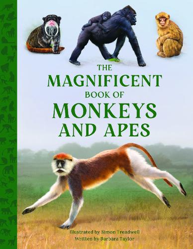 [object Object] «The Magnificent Book of Monkeys and Apes», автор Барбара Тейлор - фото №1
