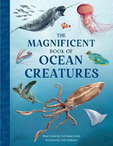 [object Object] «The Magnificent Book of Ocean Creatures», автор Том Джексон - фото №1