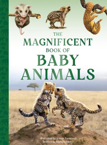 Бумажная книга «The Magnificent Book of Baby Animals», автор Барбара Тейлор - фото №1