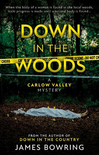Бумажная книга «Down in the Woods: A Carlow Valley Mystery», автор Джеймс Боуринг - фото №1
