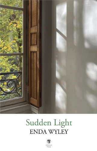 Паперова книга «Sudden Light», автор Енда Вайлі - фото №1