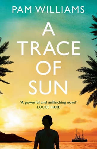 Бумажная книга «A Trace of Sun: Longlisted for the Women's Prize for Fiction 2024», автор Пэм Уильямс - фото №1