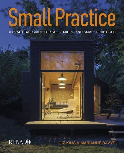 Бумажная книга «Small Practice: A practical guide for solo, micro and small practices», автор Лиз Кинг - фото №1