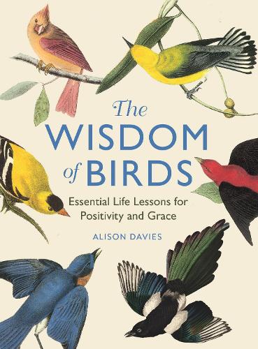 Бумажная книга «The Wisdom of Birds: Essential Life Lessons for Positivity and Grace», автор Элисон Дейвис - фото №1