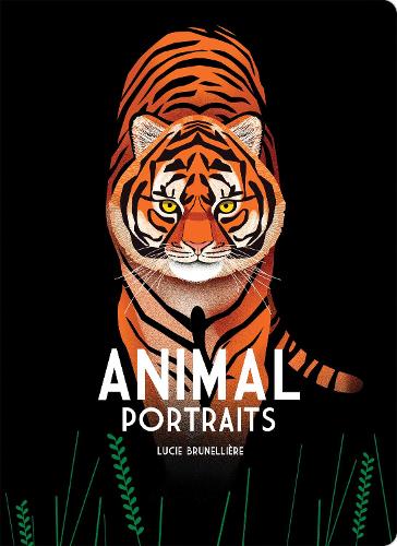 Паперова книга «Animal Portraits», автор Люсі Брунелліер - фото №1