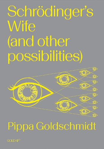 Бумажная книга «Schrodinger's Wife (and Other Possibilities)», автор Пиппа Голдшмидт - фото №1