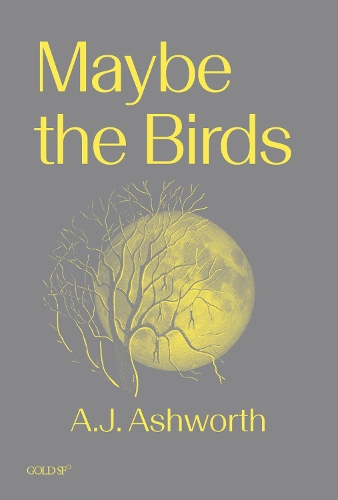 Бумажная книга «Maybe the Birds», автор А. Дж. Эшворт - фото №1