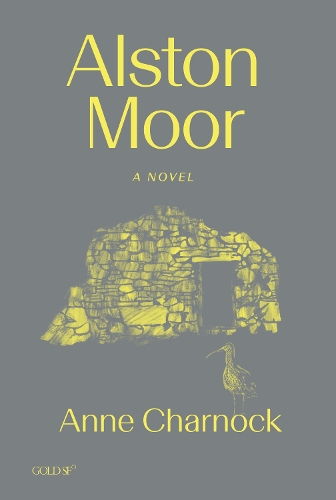 Бумажная книга «Alston Moor», автор Энн Чарнок - фото №1