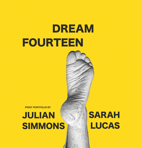 Бумажная книга «Dream Fourteen», авторов Сара Лукас, Джулиан Симмонс - фото №1
