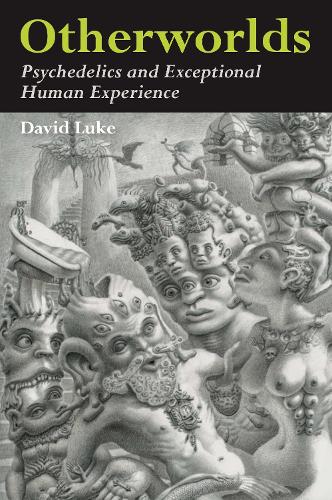 Паперова книга «Otherworlds: Psychedelics and Exceptional Human Experience», автор Девід Люк - фото №1