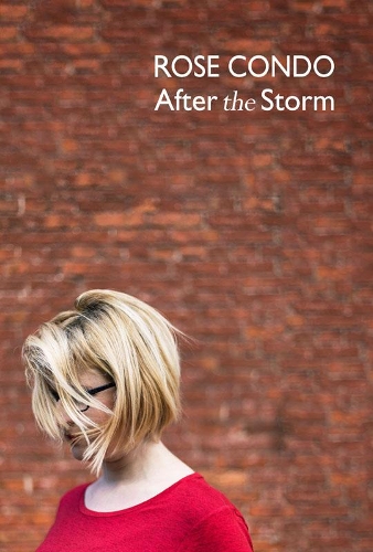 Бумажная книга «After the Storm», автор Роуз Кондо - фото №1