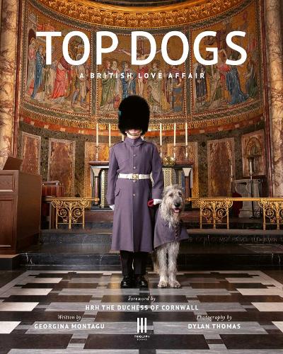 Бумажная книга «Top Dogs: A British Love Affair», автор Джорджина Монтагу - фото №1