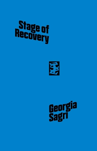 Бумажная книга «Iasi, Stage Of Recovery», автор Джорджия Сагри - фото №1