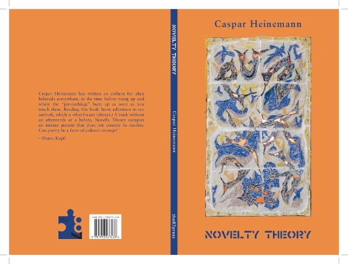 Бумажная книга «Novelty Theory», автор Каспар Хайнеманн - фото №1