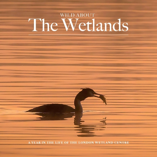 Бумажная книга «Wild about The Wetlands: A Year in the Life of The London Wetland Centre», автор Эндрю Уилсон - фото №1