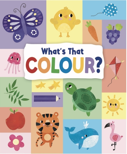 Паперова книга «What's That Colour», автор Емілі Кінгтон - фото №1