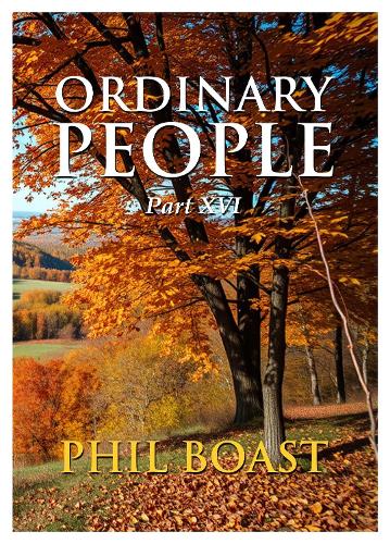 Бумажная книга «Ordinary People XVI», автор Фил Бост - фото №1
