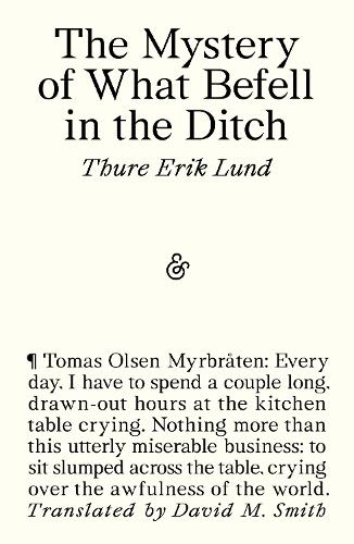 Paper book «The Mystery of What Befell in the Ditch», author Thure Erik Lund - фото №1