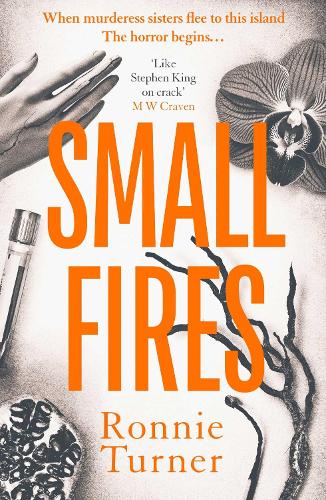 Паперова книга «Small Fires: This year's most unsettling, hypnotic contemporary gothic thriller», автор Ронні Тернер - фото №1