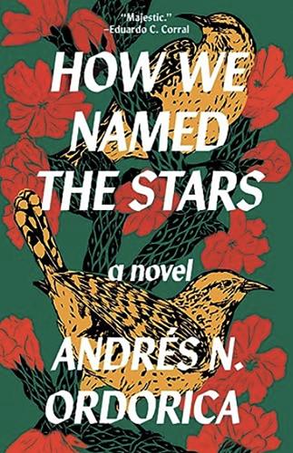 Бумажная книга «How We Named the Stars» - фото №1