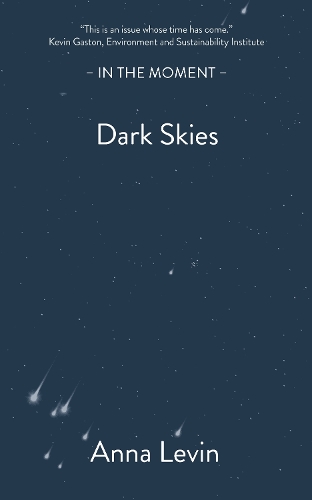 Бумажная книга «Dark Skies», автор Анна Левин - фото №1