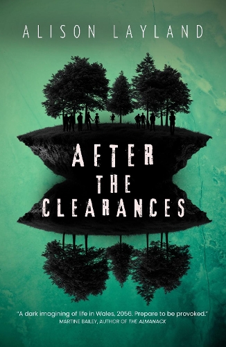 Паперова книга «After The Clearances», автор Елісон Лейланд - фото №1