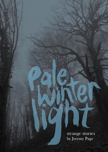 Паперова книга «Pale Winter Light», автор Джеремі Пейдж - фото №1