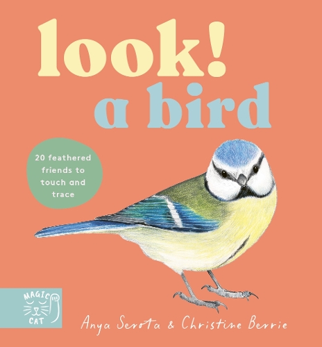 Паперова книга «LOOK! A Bird», автор Аня Серота - фото №1