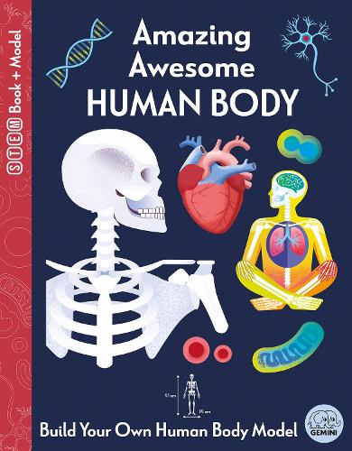 Паперова книга «Amazing Awesome Human Body», автор Сьюзен Мейес - фото №1