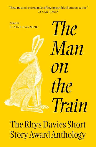 Бумажная книга «The The Man on the Train: The Rhys Davies Short Story Competition Anthology» - фото №1