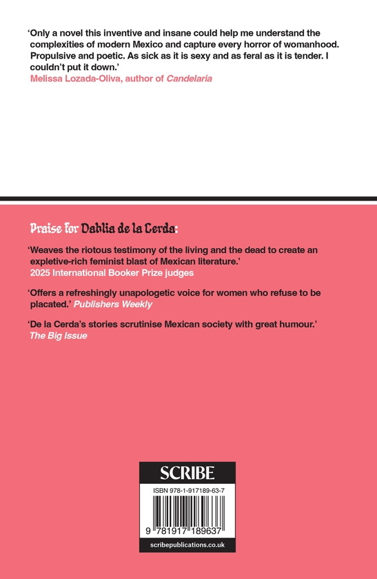 Паперова книга «Medea Sang Me a Corrido», автор Далія де ла Серда - фото №1