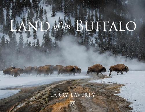 Бумажная книга «Land of the Buffalo», автор Ларри Лаверти - фото №1