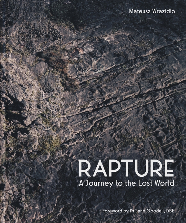Паперова книга «Rapture: A Journey to the Lost World», автор Матеуш Вразідло - фото №1