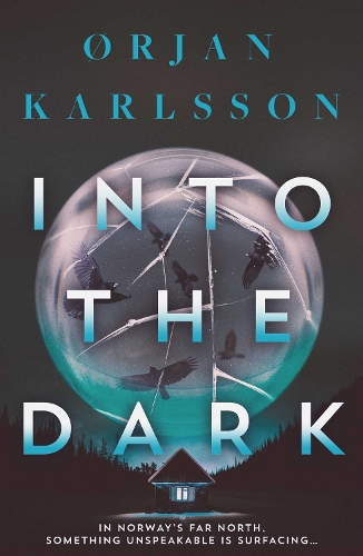 Бумажная книга «Into The Dark», автор Эржан Карлссон - фото №1