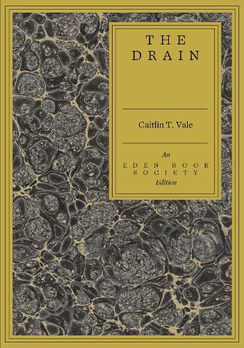 Паперова книга «The Drain», автор Кейтлін Т. Вейл - фото №1