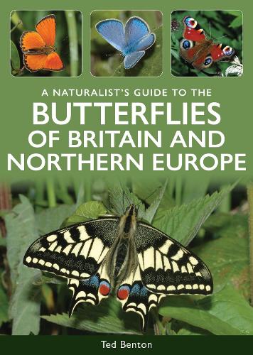 Бумажная книга «A Naturalist's Guide to the Butterflies of Britain & Northern Europe», автор Тед Бентон - фото №1
