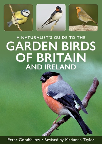 Бумажная книга «A Naturalist's Guide to Garden Birds of Britain & Ireland», автор Питер Гудфеллоу - фото №1