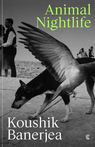 Паперова книга «Animal Nightlife», автор Кушик Банерджеа - фото №1