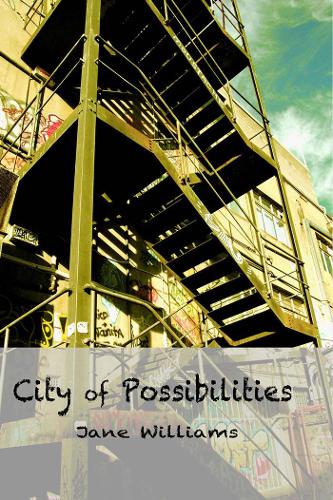 Паперова книга «City of Possibilities», автор Джейн Вільямс - фото №1