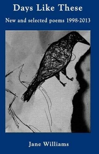 Паперова книга «Days Like These: New and Selected Poems 1998-2013», автор Джейн Вільямс - фото №1