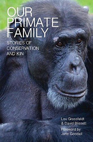 Бумажная книга «Our Primate Family: Stories of Conservation and Kin», автор Лу Гроссфельдт - фото №1