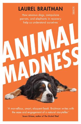 Бумажная книга «Animal Madness», автор Лорел Брейтман - фото №1
