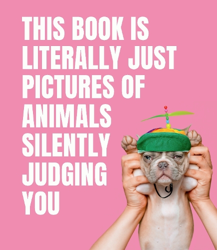 Бумажная книга «This Book is Literally Just Pictures of Animals Silently Judging You», автор Smith Street Books - фото №1