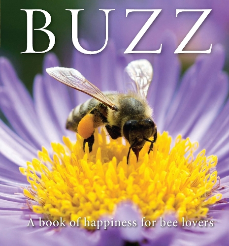 Паперова книга «Buzz», автор Адам Ленгстрот - фото №1