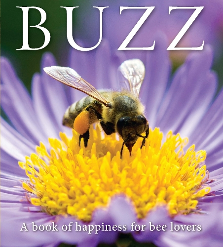 Бумажная книга «Buzz: A book of happiness for bee lovers», автор Адам Лангстрот - фото №1