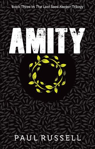 Бумажная книга «Amity», автор Пол Рассел - фото №1